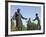 Statue of Mary Mcleod Bethune and African-American Children, Lincoln Park, Washington DC-null-Framed Photographic Print