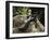 Statue of Oscar Wilde, Merrion Square, Dublin, Eire (Republic of Ireland)-Ken Gillham-Framed Photographic Print