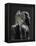 Statue of Pharaoh Khafre Enthroned-null-Framed Stretched Canvas