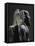 Statue of Pharaoh Khafre Enthroned-null-Framed Stretched Canvas