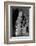 Statue of Ramses II at the Temple of Ramses II-Francis Frith-Framed Photographic Print