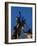 Statue of rugby players is illuminated at dusk outside Twickenham Stadium, London-Charles Bowman-Framed Photographic Print