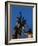 Statue of rugby players is illuminated at dusk outside Twickenham Stadium, London-Charles Bowman-Framed Photographic Print