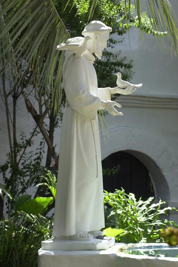 Statue Of Saint Francis Of Assisi In The Garden Of San Diego