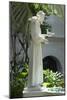 Statue of Saint Francis of Assisi in the Garden of San Diego Mission, California-null-Mounted Photographic Print
