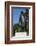 Statue of Sir Winston Churchill, Parliament Square, London, England, United Kingdom, Europe-James Emmerson-Framed Photographic Print