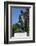 Statue of Sir Winston Churchill, Parliament Square, London, England, United Kingdom, Europe-James Emmerson-Framed Photographic Print