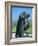 Statue of St. Francis of Assisi at the Viansa Winery, Sonoma County, California, USA-John Alves-Framed Photographic Print