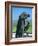 Statue of St. Francis of Assisi at the Viansa Winery, Sonoma County, California, USA-John Alves-Framed Photographic Print