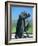 Statue of St. Francis of Assisi at the Viansa Winery, Sonoma County, California, USA-John Alves-Framed Photographic Print