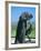 Statue of St. Francis of Assisi at the Viansa Winery, Sonoma County, California, USA-John Alves-Framed Photographic Print