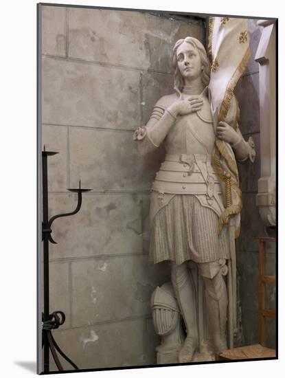Statue of St. Joan of Arc, Dol Cathedral, Dol De Bretagne, Brittany, France, Europe-Nick Servian-Mounted Photographic Print