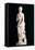 Statue of the Chaste Venus, from Carthage-null-Framed Premier Image Canvas