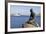 Statue of the Little Mermaid in Copenhagen, Denmark, Scandinavia, Europe-Simon Montgomery-Framed Photographic Print