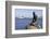 Statue of the Little Mermaid in Copenhagen, Denmark, Scandinavia, Europe-Simon Montgomery-Framed Photographic Print