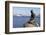 Statue of the Little Mermaid in Copenhagen, Denmark, Scandinavia, Europe-Simon Montgomery-Framed Photographic Print