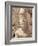 Statue of the Pharaoh Ramses II, Karnak Temple, Thebes, Unesco World Heritage Site, Egypt-Nico Tondini-Framed Photographic Print