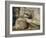 Statue of the Reclining Buddha, Attaining Nirvana, Gal Vihara, Polonnaruwa, Sri Lanka-Robert Harding-Framed Photographic Print