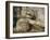 Statue of the Reclining Buddha, Attaining Nirvana, Gal Vihara, Polonnaruwa, Sri Lanka-Robert Harding-Framed Photographic Print