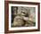 Statue of the Reclining Buddha, Attaining Nirvana, Gal Vihara, Polonnaruwa, Sri Lanka-Robert Harding-Framed Photographic Print