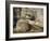 Statue of the Reclining Buddha, Attaining Nirvana, Gal Vihara, Polonnaruwa, Sri Lanka-Robert Harding-Framed Photographic Print