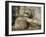 Statue of the Reclining Buddha, Attaining Nirvana, Gal Vihara, Polonnaruwa, Sri Lanka-Robert Harding-Framed Photographic Print