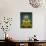 Statue of the Sitting Buddha, Wat Benchamabophit (Marble Temple), Bangkok, Thailand, Southeast Asia-Richard Maschmeyer-Photographic Print displayed on a wall