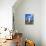 Statue of the Virgin Mary in the property of Saint Benedict's Painted Church.-Julie Eggers-Photographic Print displayed on a wall