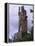 Statue of William Wallace, Stirling, Stirlingshire, Scotland, UK-Patrick Dieudonne-Framed Premier Image Canvas