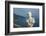 Statue on the Infinity Terrace-Angelo Cavalli-Framed Photographic Print