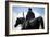 Statue-Felipe Rodriguez-Framed Photographic Print