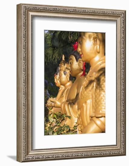 Statues at Ten Thousand Buddhas Monastery, Shatin, New Territories, Hong Kong, China, Asia-Ian Trower-Framed Photographic Print