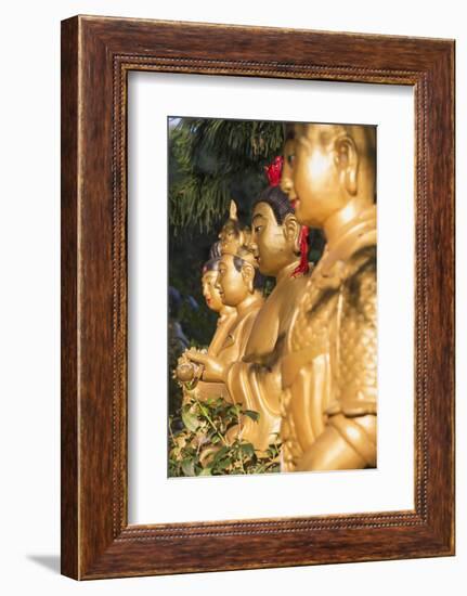 Statues at Ten Thousand Buddhas Monastery, Shatin, New Territories, Hong Kong, China, Asia-Ian Trower-Framed Photographic Print