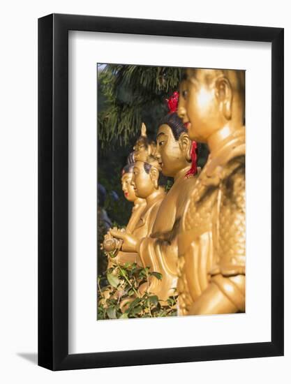 Statues at Ten Thousand Buddhas Monastery, Shatin, New Territories, Hong Kong, China, Asia-Ian Trower-Framed Photographic Print