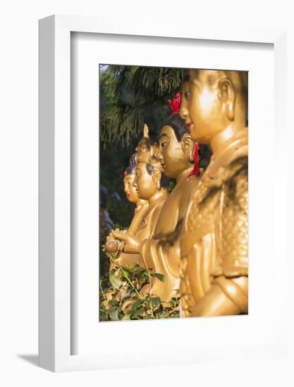 Statues at Ten Thousand Buddhas Monastery, Shatin, New Territories, Hong Kong, China, Asia-Ian Trower-Framed Photographic Print