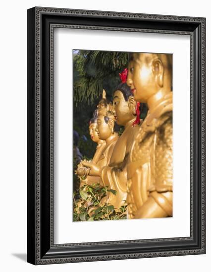 Statues at Ten Thousand Buddhas Monastery, Shatin, New Territories, Hong Kong, China, Asia-Ian Trower-Framed Photographic Print
