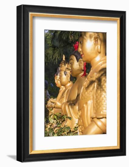 Statues at Ten Thousand Buddhas Monastery, Shatin, New Territories, Hong Kong, China, Asia-Ian Trower-Framed Photographic Print