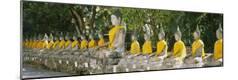 Photographic Print