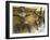 Statues of Monkey-Demons-Jean-Pierre DeMann-Framed Photographic Print