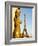 Statues of Palais De Chaillot and Eiffel Tower, Paris, France, Europe-Richard Nebesky-Framed Photographic Print