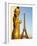 Statues of Palais De Chaillot and Eiffel Tower, Paris, France, Europe-Richard Nebesky-Framed Photographic Print