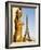 Statues of Palais De Chaillot and Eiffel Tower, Paris, France, Europe-Richard Nebesky-Framed Photographic Print