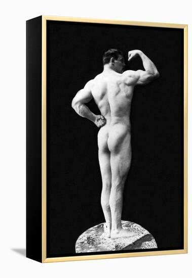 Statuesque Back and Arm Curl-null-Framed Stretched Canvas