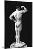 Statuesque Back and Arm Curl-null-Mounted Art Print