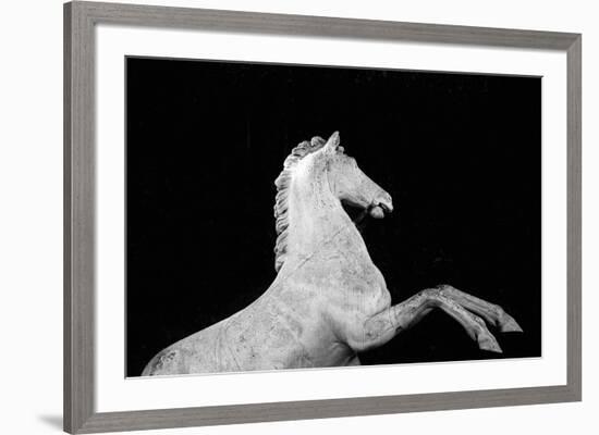 Statuesque Horse-Irene Suchocki-Framed Giclee Print