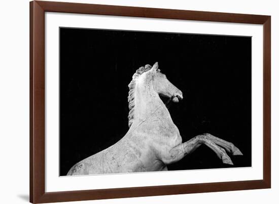 Statuesque Horse-Irene Suchocki-Framed Giclee Print