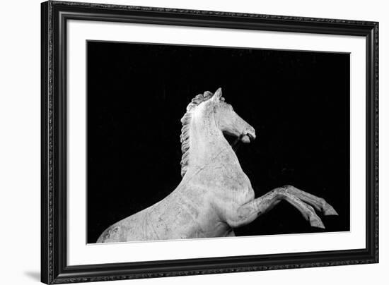 Statuesque Horse-Irene Suchocki-Framed Giclee Print