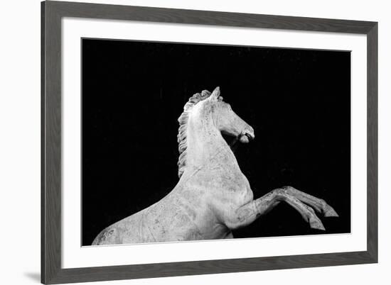 Statuesque Horse-Irene Suchocki-Framed Giclee Print