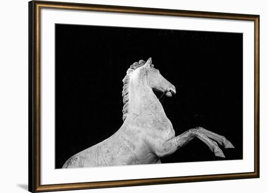 Statuesque Horse-Irene Suchocki-Framed Giclee Print