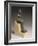 Statuette d'Imhotep, architecte et ministre de Djoser, portant une dédicace de Poumeh, fils de-null-Framed Giclee Print